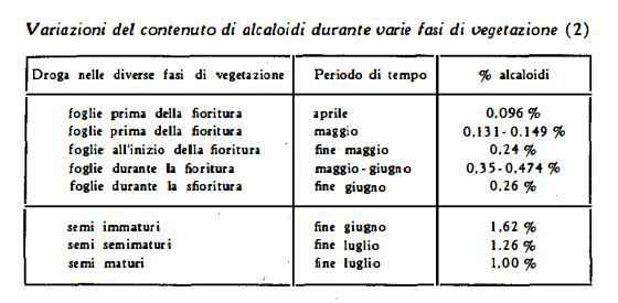 Differenza Tra Alcool Isopropilico E Denaturato