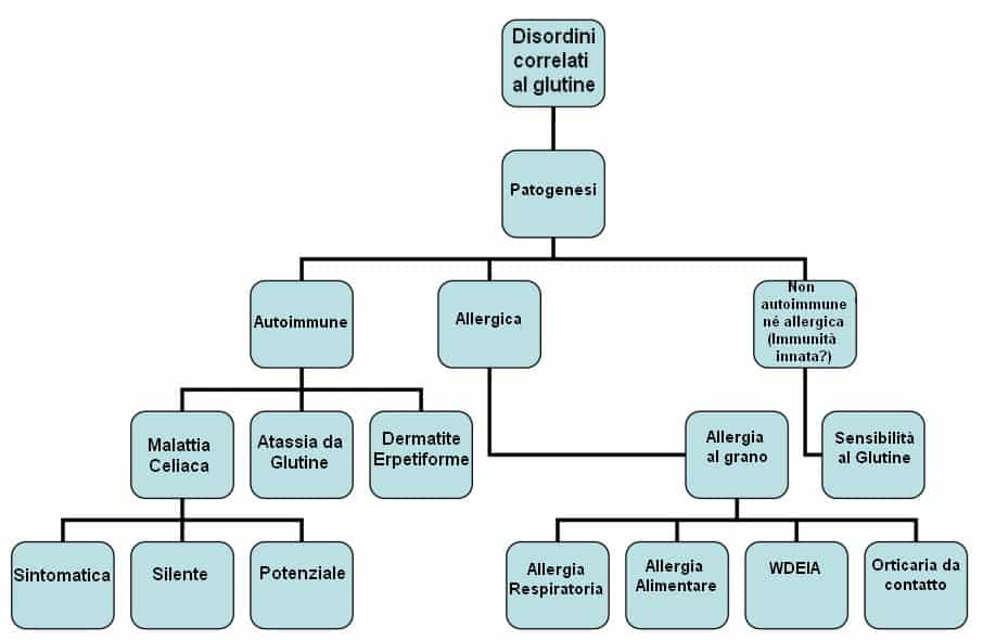 dieta priva di glutine: algoritmi diagnostici dei disturbi correlati al glutine