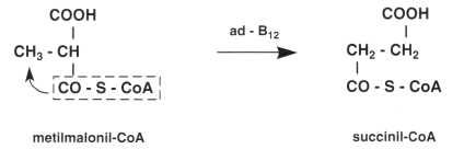 Vitamina B12 o Cobalamina: reazione 11