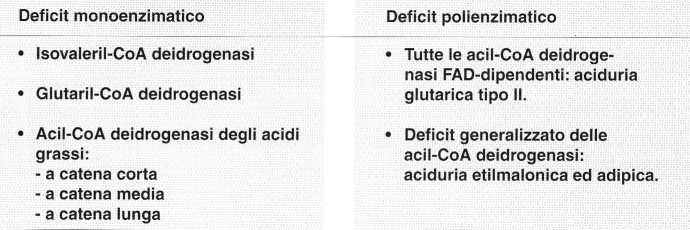 Vitamina B2 o Riboflavina: deficit