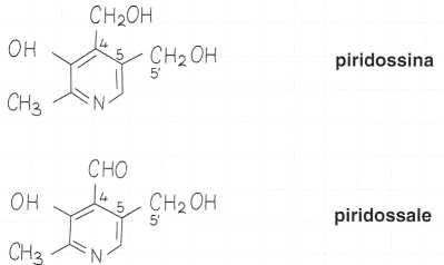 Vitamina B6 o Piridossina: formule di struttura