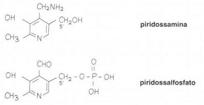 P5P – Piridoxal 5 Fosfato O Vitamina B6 - Española - Foto 2