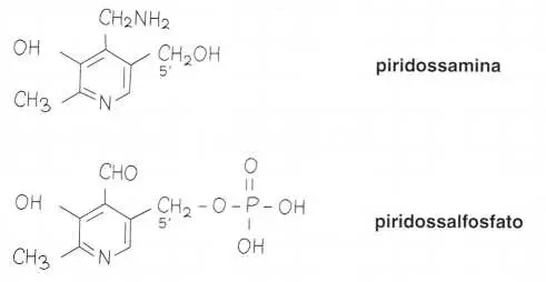 Vitamina B6 o Piridossina: formule di struttura 2