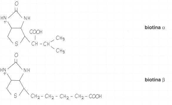 Vitamina B8 o Biotina: formule di struttura