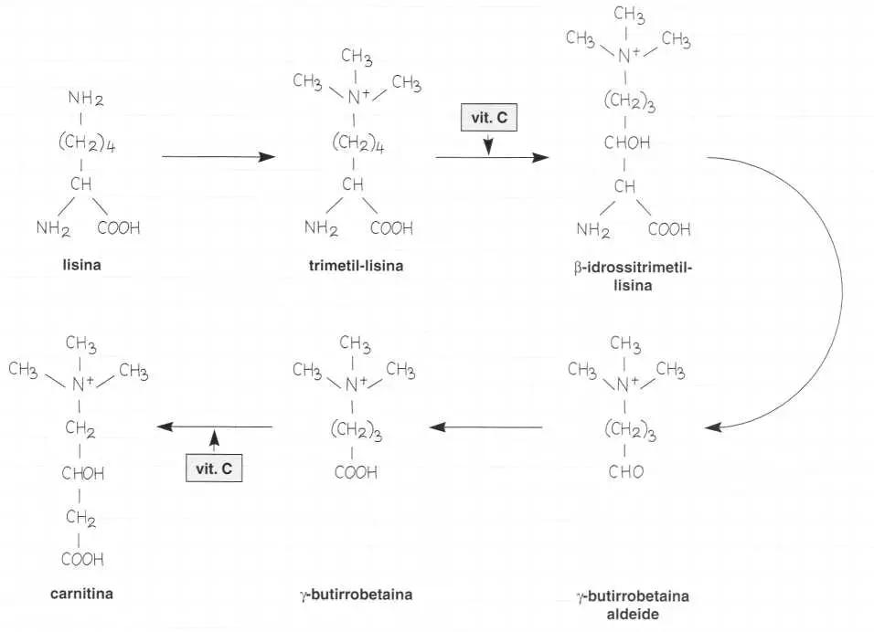 Vitamina C (Acido Ascorbico): reazione 12