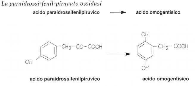 Vitamina C (Acido Ascorbico): reazione 16