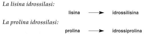 Vitamina C (Acido Ascorbico): reazione 5