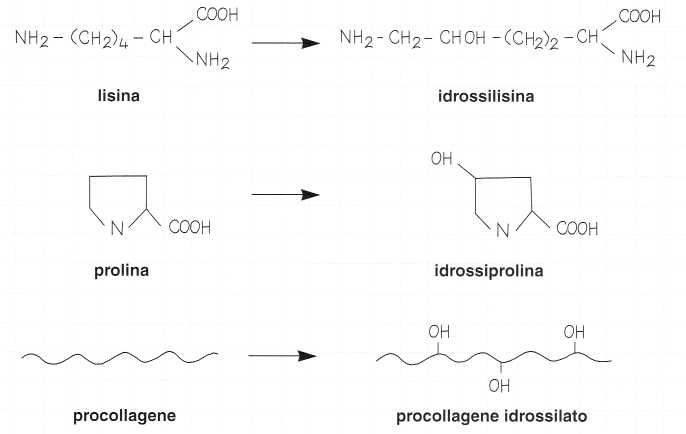 Vitamina C (Acido Ascorbico): reazione 6