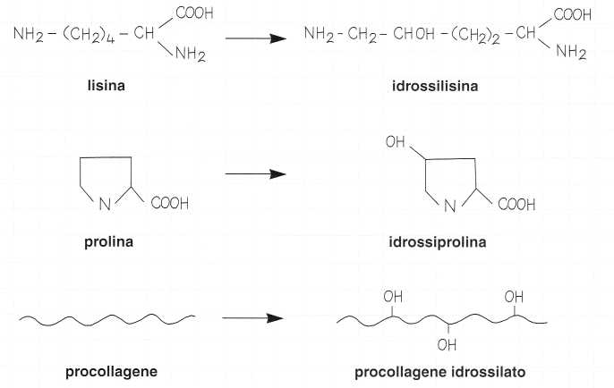 Vitamina C (Acido Ascorbico): reazione 6