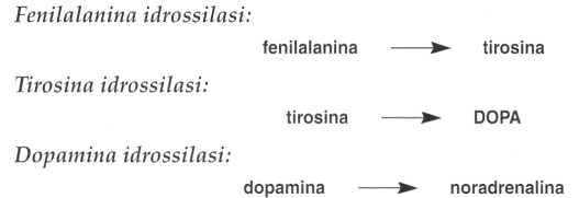 Vitamina C (Acido Ascorbico): reazione 8