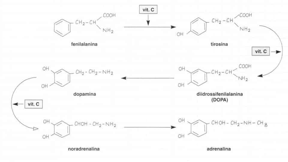 Vitamina C (Acido Ascorbico): reazione 9