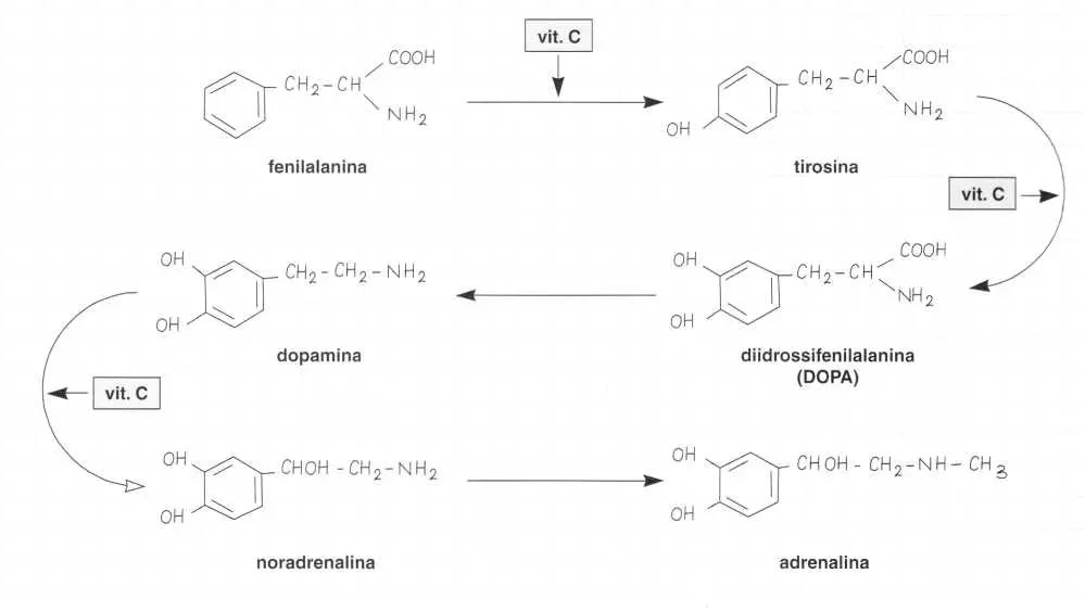Vitamina C (Acido Ascorbico): reazione 9