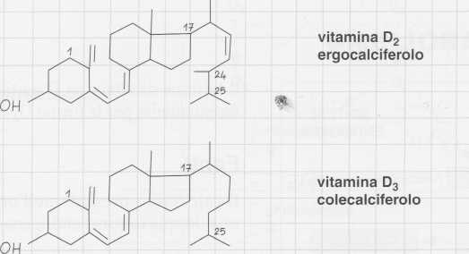 Vitamina D (Calciferolo): formule di struttura