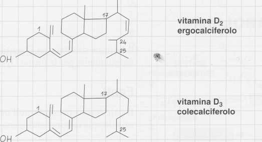 Vitamina D (Calciferolo): formule di struttura
