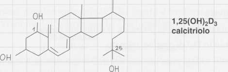 Vitamina D (Calciferolo): <a href=