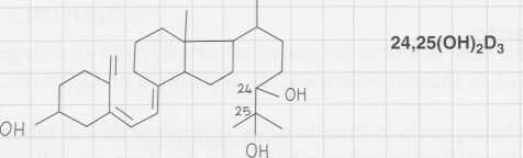 Vitamina D (Calciferolo): formule di struttura 2
