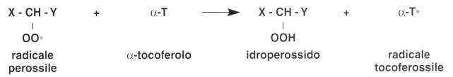 Vitamina E (Tocoferolo): reazione 11