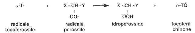 Vitamina E (Tocoferolo): reazione 12