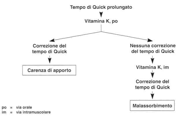 Vitamina K (Fillochinone): terapia della carenza