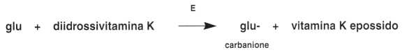 Vitamina K (Fillochinone): reazione 9