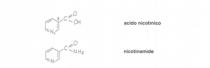 Vitamina PP (Niacina): acido nicotinico e nicotinamide