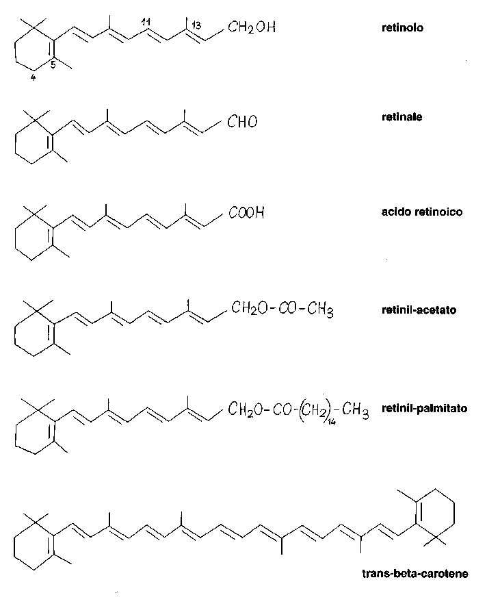 Formula di struttura della vitamina A, retinolo e beta-carotene