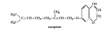 aranciodolce Figura 1
