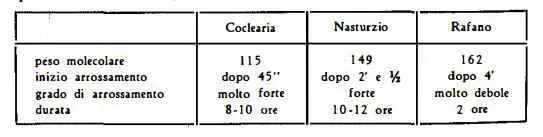 coclearia Figura 2
