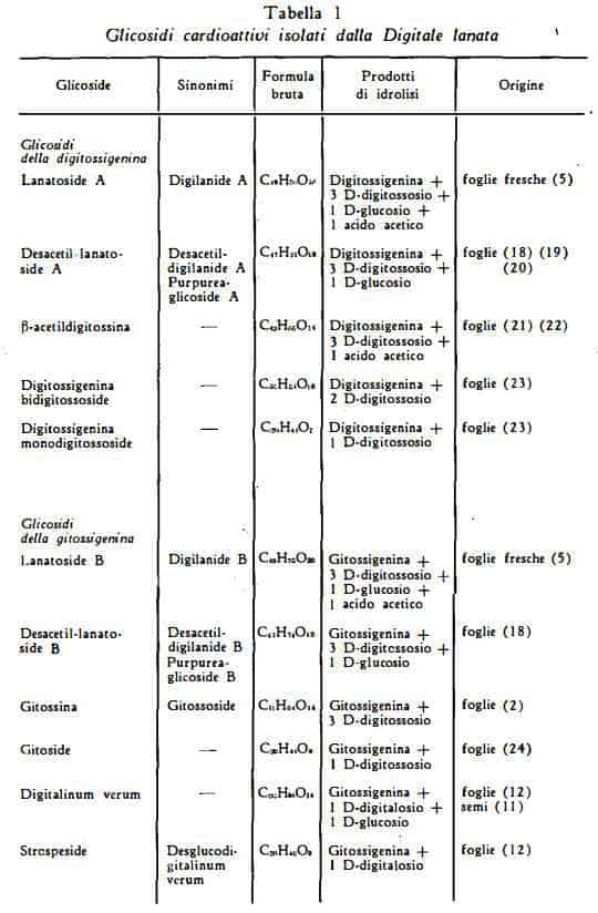 digitalelanata Figura 1