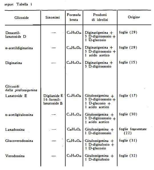 digitalelanata Figura 3