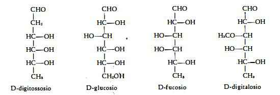 digitalelanata Figura 4