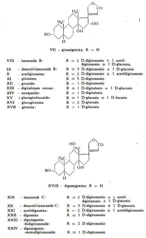 digitalelanata Figura 6