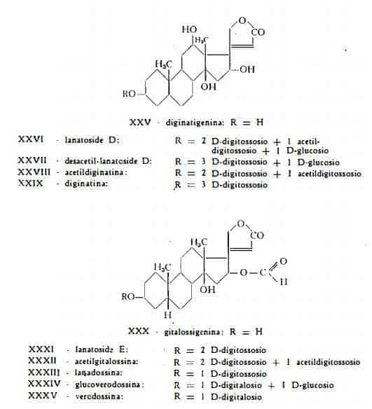 digitalelanata Figura 7