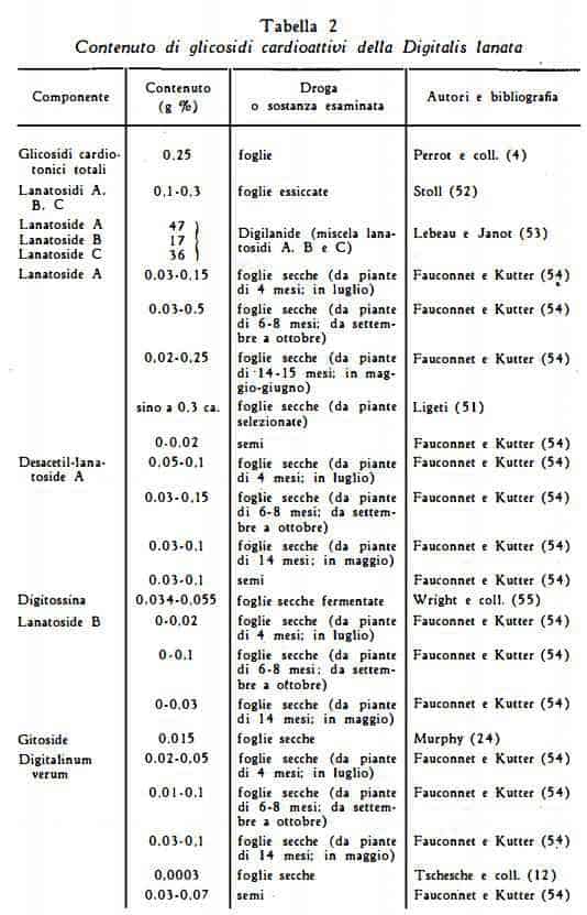 digitalelanata Figura 9