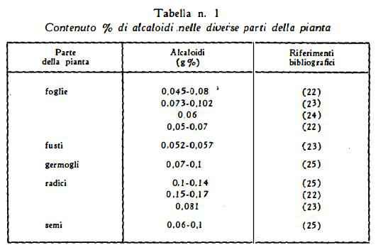 giusquiamo Figura 5