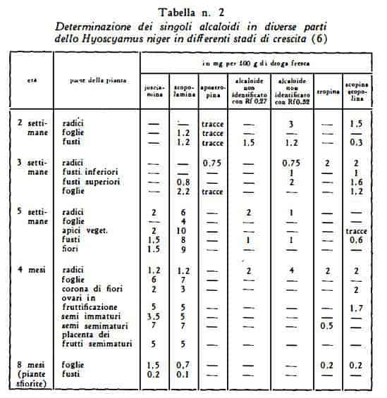 giusquiamo Figura 7