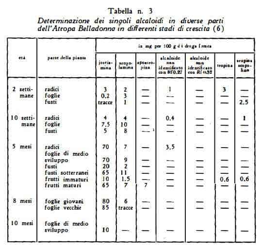 giusquiamo Figura 8