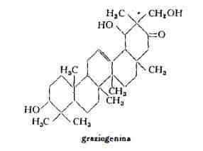 graziola Figura 1