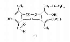lichene Figura 2