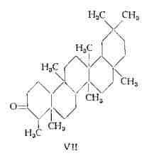 lichene Figura 6