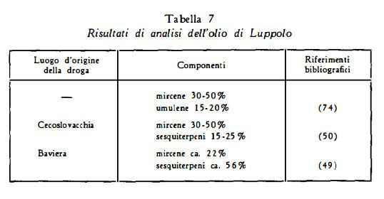 luppolo Figura 6