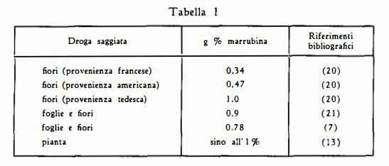 marrubio Figura 2