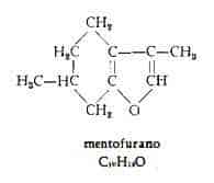 menta Figura 5