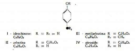 mirtillorosso Figura 1