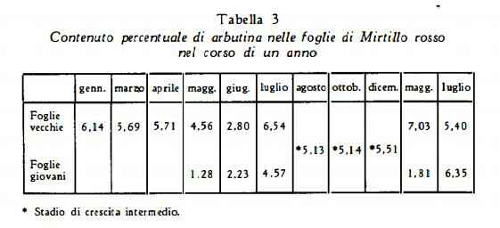 mirtillorosso Figura 3