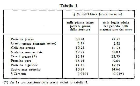 ortica Figura 1