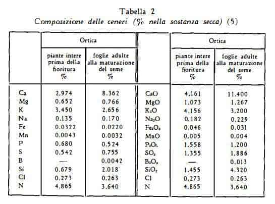 ortica Figura 2