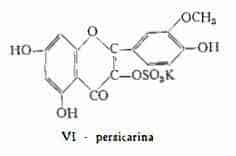 persicaria Figura 3