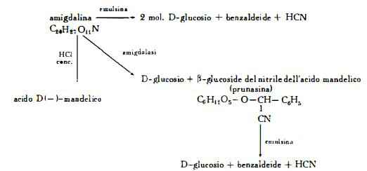prugne Figura 4