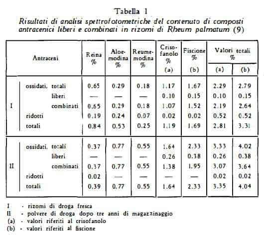 rabarbarocinese Figura 3